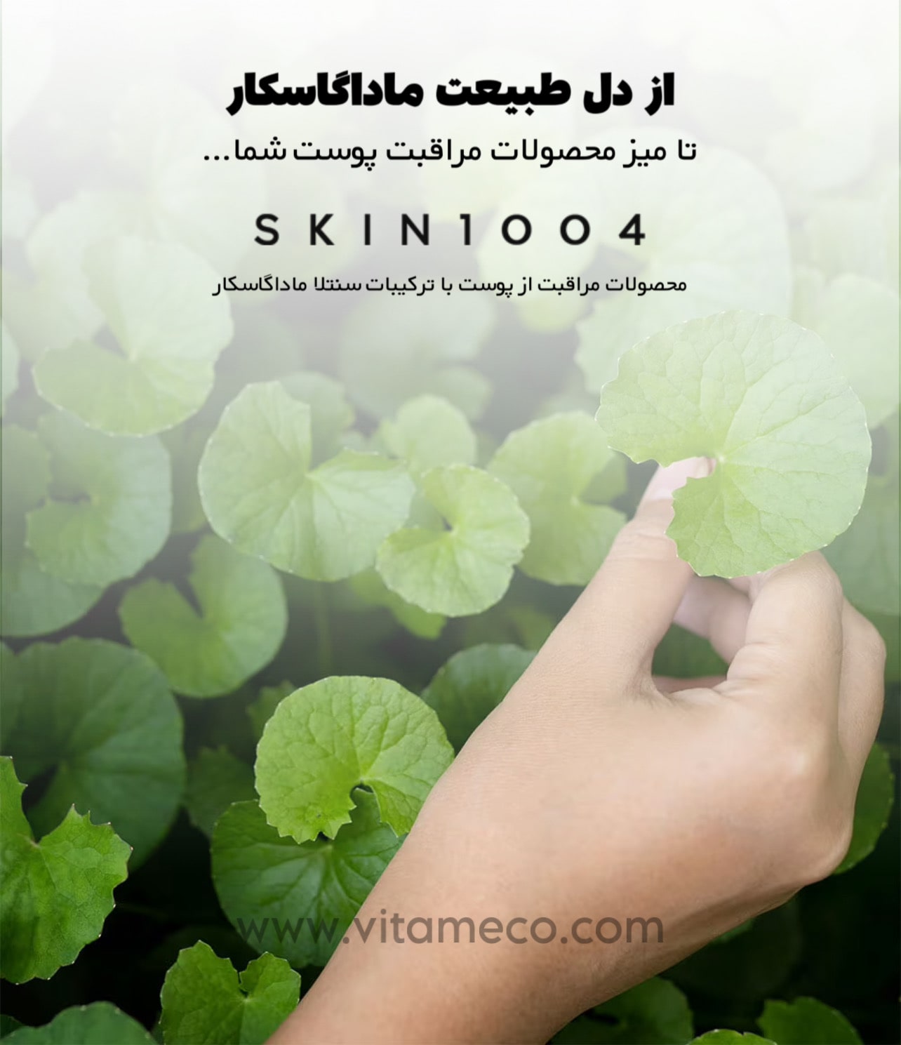برند اسکین 1004
